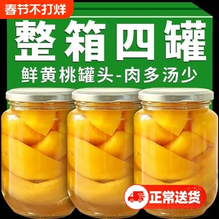 新鲜黄桃罐头正品砀山桃子水果罐头糖水零食商用整箱好吃罐装果园