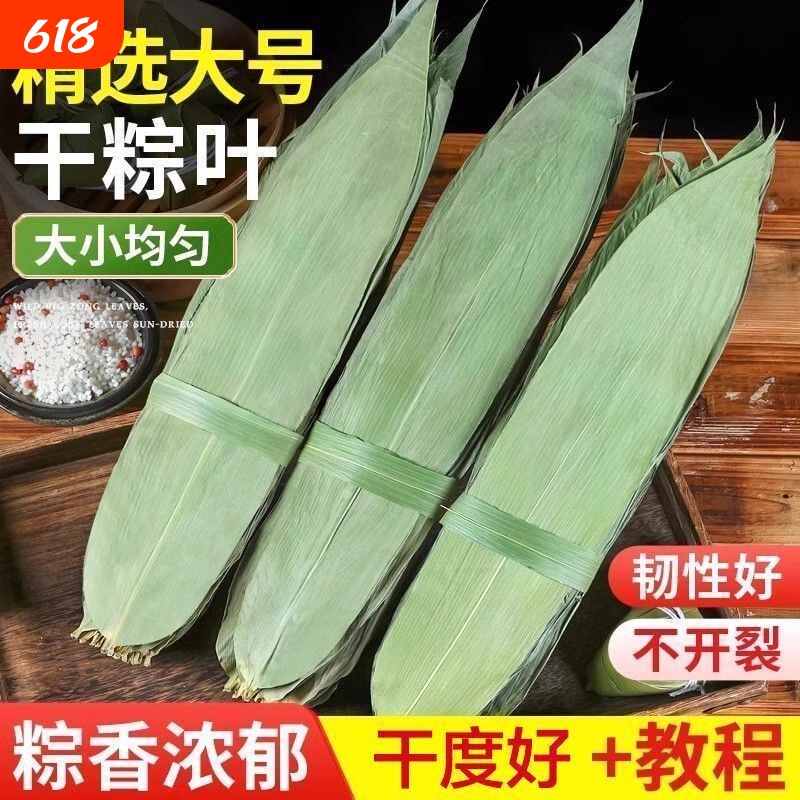 粽子叶粽叶干大号棕叶新鲜包粽子的竹叶子干粽叶商用箬叶材料
