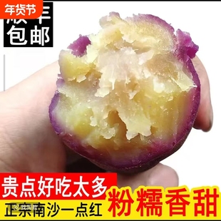 正宗南沙一点红番薯新鲜甜糯广州花心红薯沙地种植红心蜜薯烤红薯