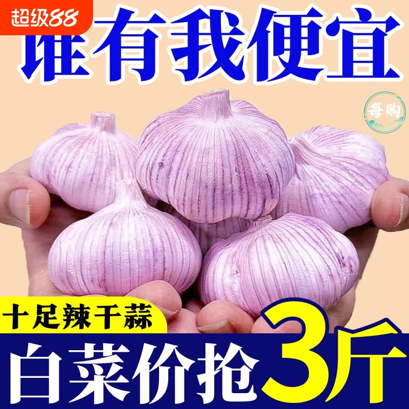 山东大蒜头干蒜大蒜大蒜头批发新干蒜紫皮大蒜批发价包邮一整箱