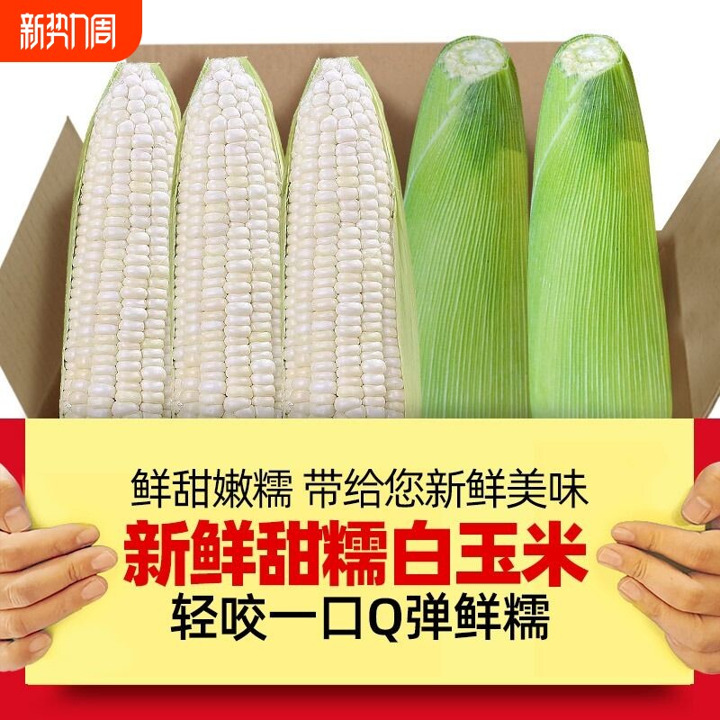 现摘新鲜糯玉米嫩黏亲爱的玉米棒子粒食黄白玉米生鲜自提水果农场