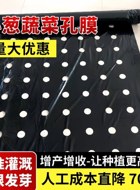 打孔黑色地膜保温保湿抗老化薄膜药材小葱辣椒朝天椒专用开孔种植