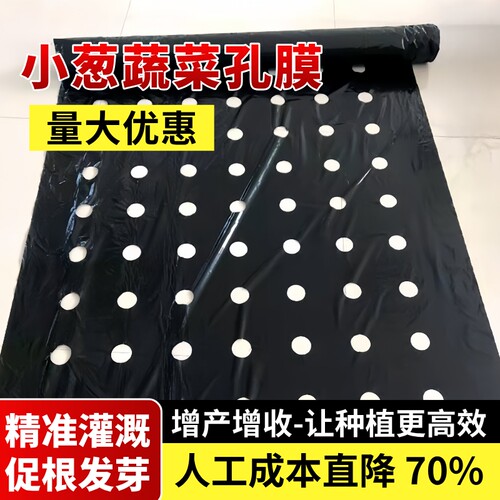 黑色地膜保温保湿开孔种植专用