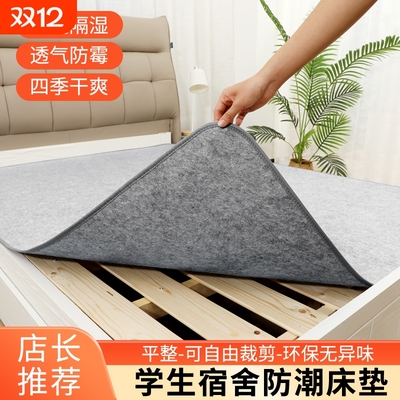 防潮垫床上用吸湿床垫学生宿舍