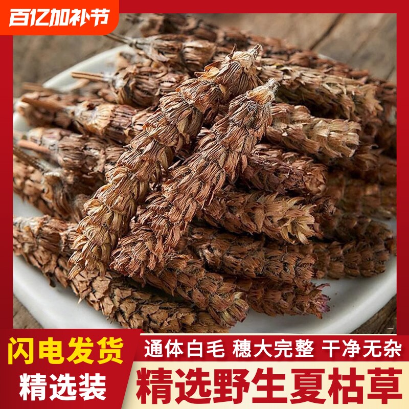 野生夏枯草中草药材白毛夏枯球泡水喝草夏菇草夏谷草新鲜中药菊花
