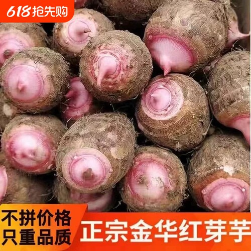 浙江金华软糯香滑红芽芋艿