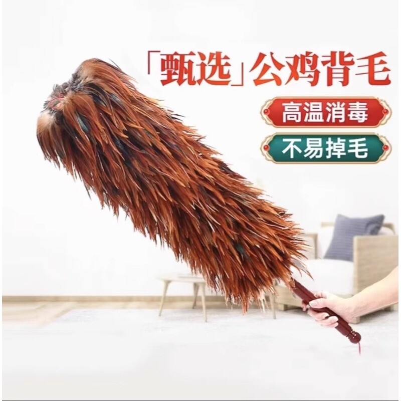 真鸡毛掸子扫灰家用可伸缩不掉毛车用清洁打扫卫生防静电除尘禅子