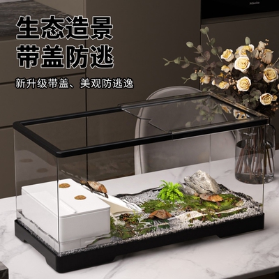 乌龟缸家用小型乌龟饲养缸爬台亚克力生态可排水鱼缸底部养龟客厅