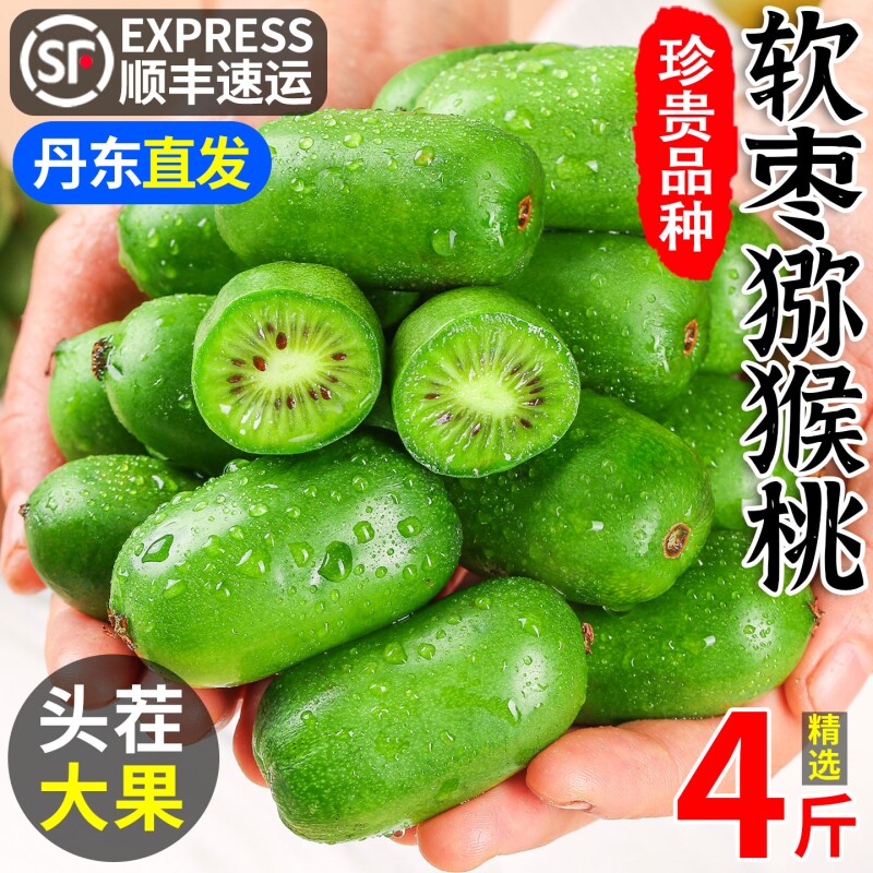 丹东新鲜软枣猕猴桃迷你东北特产圆枣子奇异莓果莓小顺丰大果送礼