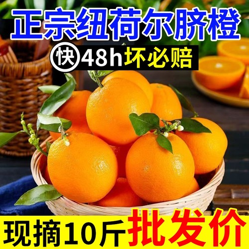 【正宗】纯甜纽荷尔脐橙子新鲜水果非江西赣州赣南大果整箱现摘