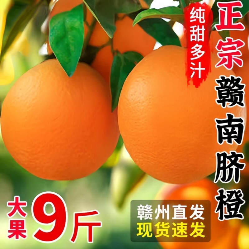 橙子江西赣南脐橙新鲜10斤大果当季孕妇水果甜橙赣州直发年货节
