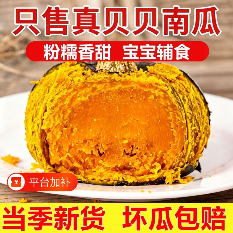 沙地贝贝南瓜正宗板栗味新鲜小南瓜孕妇婴儿辅食老南瓜粉糯甜蔬果