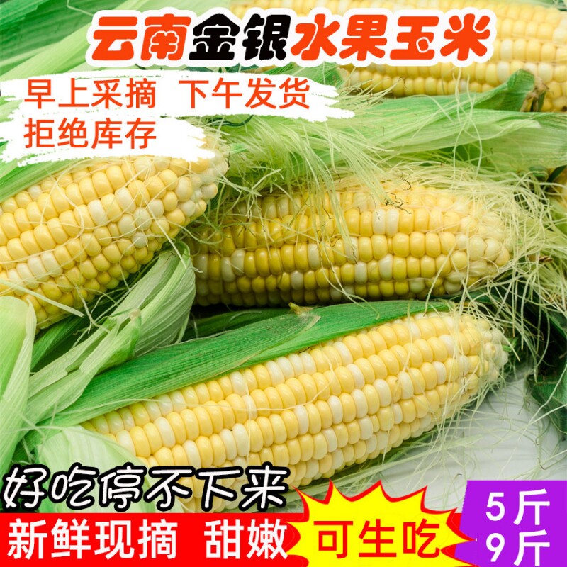 新鲜水果玉米，净重4.5斤，5-8根