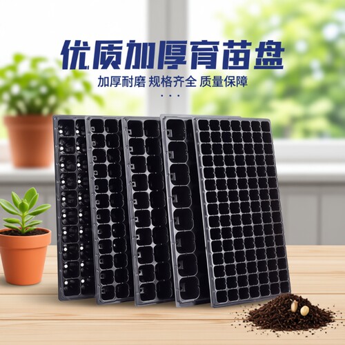 育苗穴盘种植神器套装营养钵蔬菜多肉扦插盒托盘发芽苗播种玉米