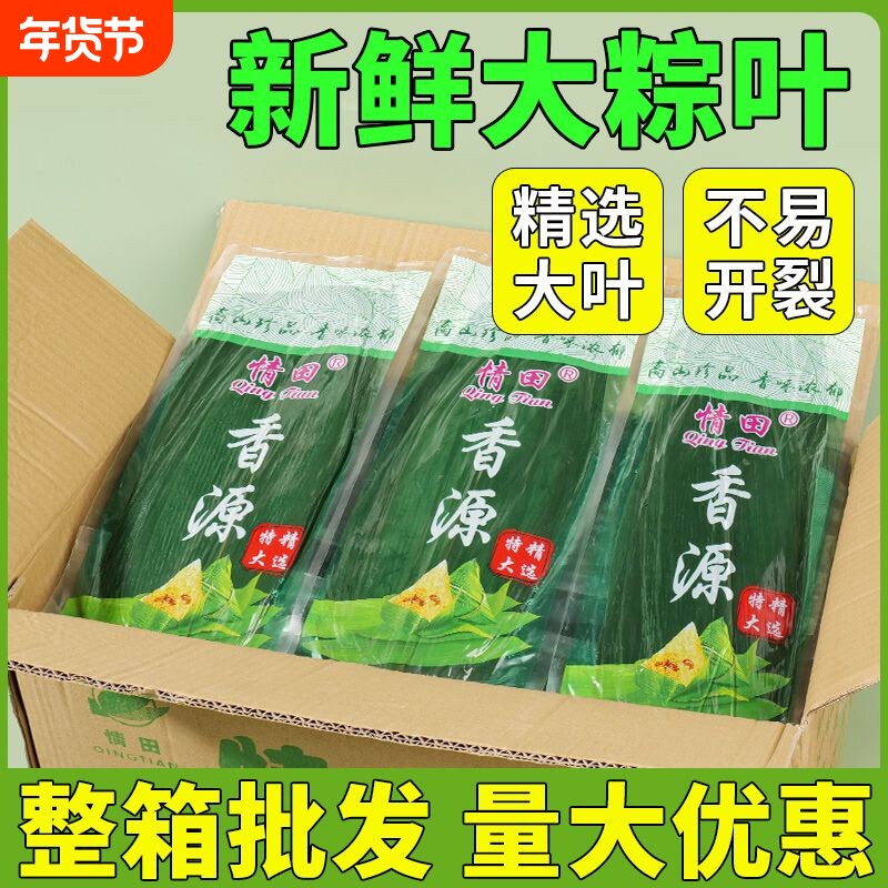 粽子叶棕叶新鲜大号新叶包粽子专用的叶子端午节干粽叶大整箱批发