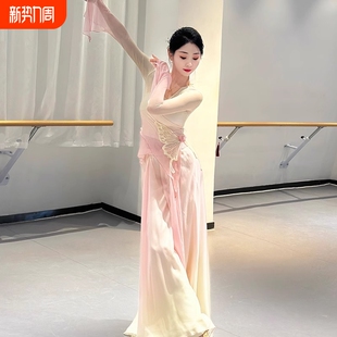 表演服 套装 古典舞蹈服装 飘逸身韵纱衣练功服女夏中国舞演出服裙裤