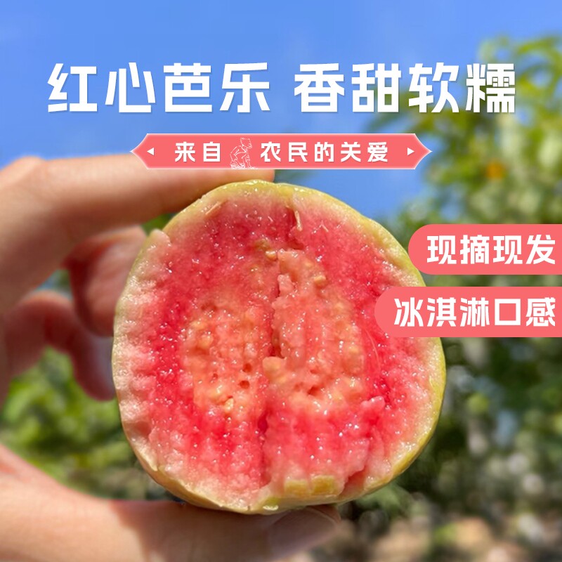 广西软糯红心芭乐应季水果新鲜包邮番石榴奶油脆甜胭脂双拼生鲜