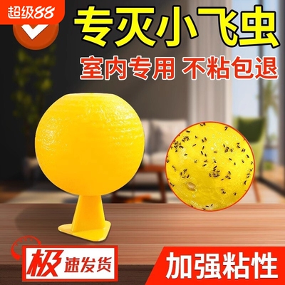 果蝇诱捕器小飞虫灭杀神器