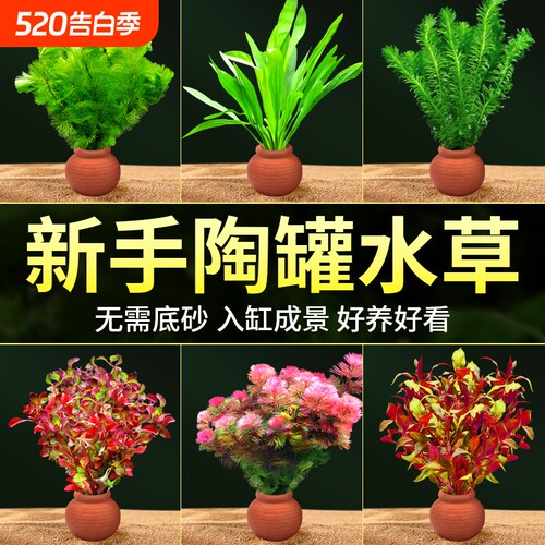 水草鱼缸增氧套餐|超1000人收藏