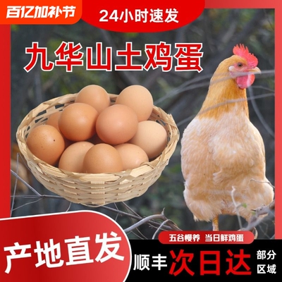 皖南土鸡蛋九华山高山散养土鸡蛋竹林蛋50枚产地直发顺丰包邮