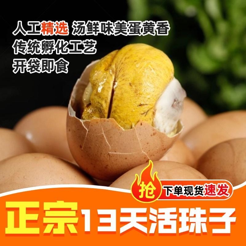 熟新鲜活珠子毛熟开袋即食鸡胚凤凰蛋毛鸡蛋香蛋辣五香蛋麻辣包邮