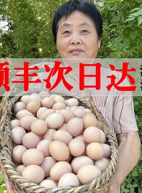 九华山土鸡蛋30枚林下散养发顺丰