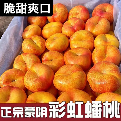 彩虹油蟠桃现摘桃子应当季蜜桃