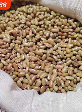 贵州特产新豆农家小米豆