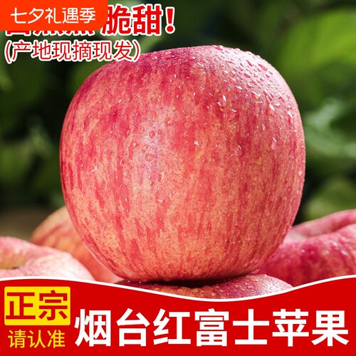 正宗烟台红富士苹果新鲜水果脆甜特大果现摘现发冰糖心应当季自提
