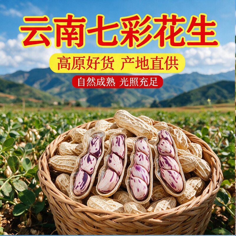 七彩花生带壳花生米2026生熟水煮咸干新鲜健康特色果仁食品晒干