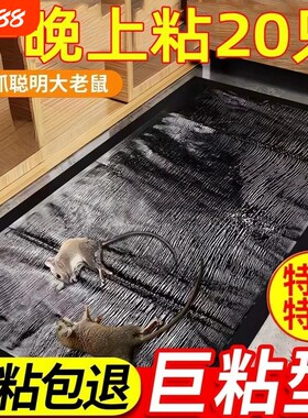 【千人回购】超大粘性粘鼠贴