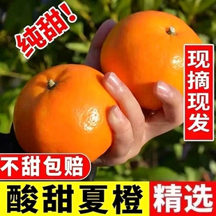 正宗广西夏橙子水果新鲜当季整箱时令9斤柑橘现摘酸甜精选大果