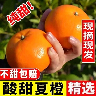 广西夏橙子水果新鲜当季整箱
