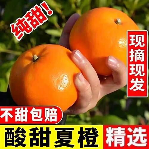 广西夏橙子水果新鲜当季整箱
