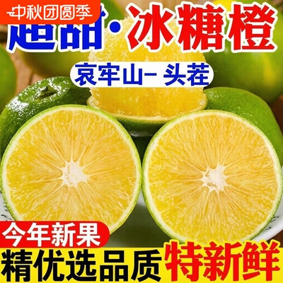 正宗哀牢山冰糖橙云南青皮冰糖橙子整箱薄皮应季新鲜多汁柑橘水果