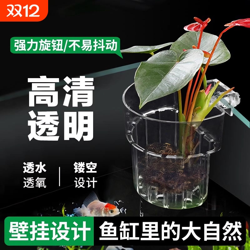 参森水培篮水草种植|千人加购