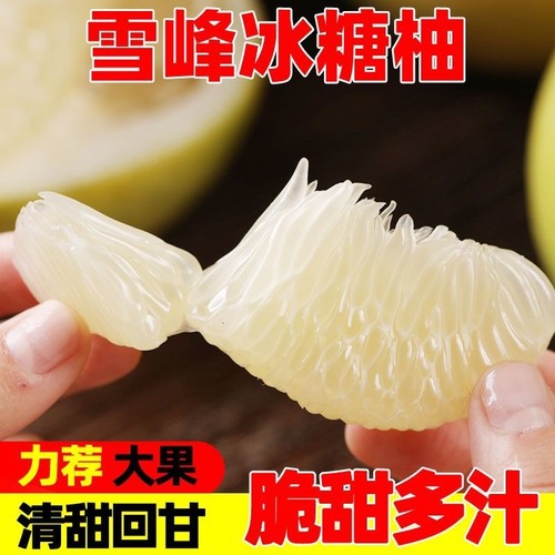 安江雪峰冰糖柚新鲜水果湖南怀化黔阳高山老树小苦柚药柚金兰柚子