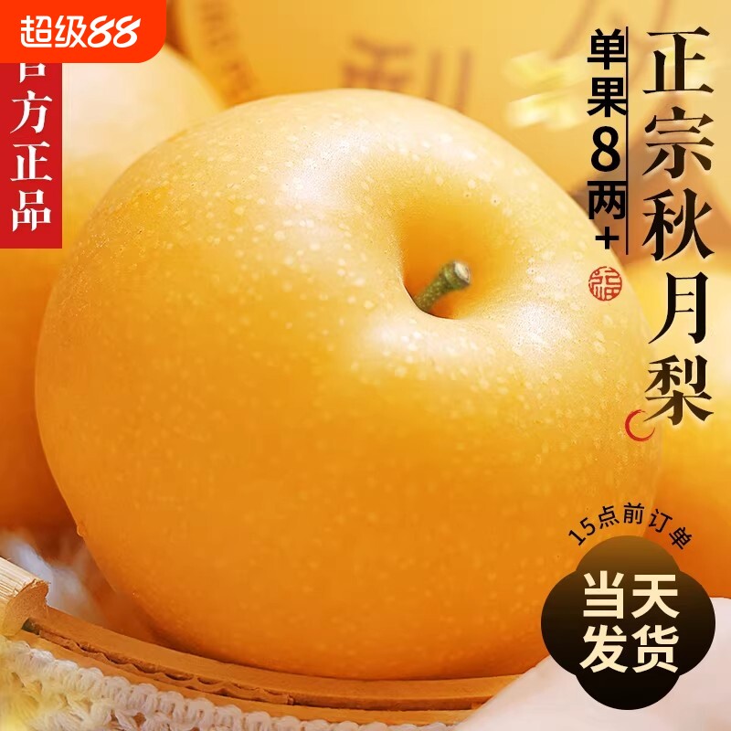 正宗秋月梨中秋现摘现发水果新鲜整箱当季梨子山东应季官方正品