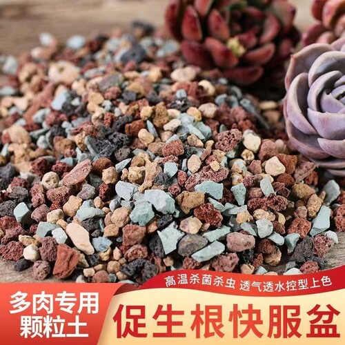 多肉专用颗粒土纯颗粒土多肉土营养土彩虹石养花小石子植物土壤