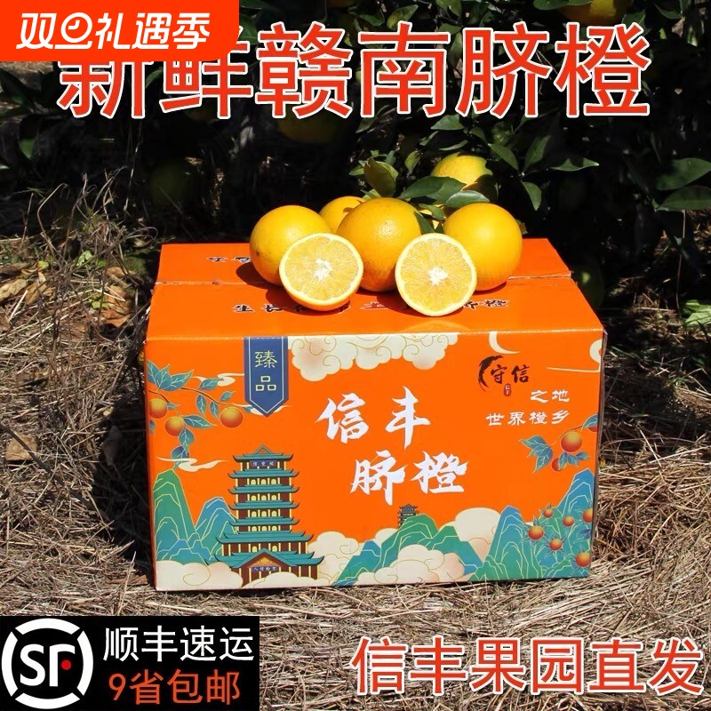 正宗赣南脐橙当季水果