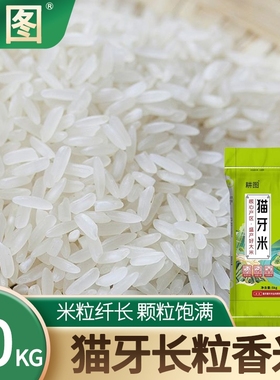 大米10斤猫牙米丝农家长粒米5KG稻香米正宗晚稻2025软糯丝苗苗米