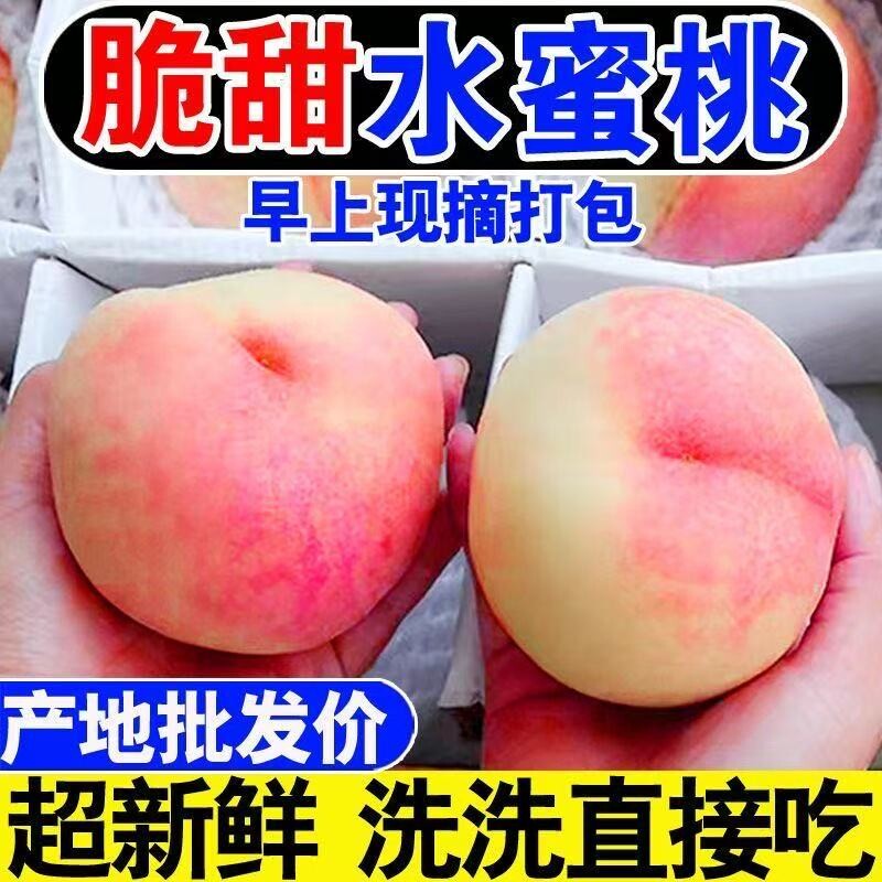 正宗山西脆甜水蜜桃桃子毛桃新鲜应季孕妇水果脆甜桃蜜桃整箱批发
