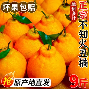 正宗四川不知火丑橘9斤水果新鲜整箱当季粑耙现摘年货节柑橘果子