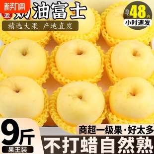 山东烟台黄金奶油富士苹果新鲜水果当季 整箱维纳斯10斤产地直发