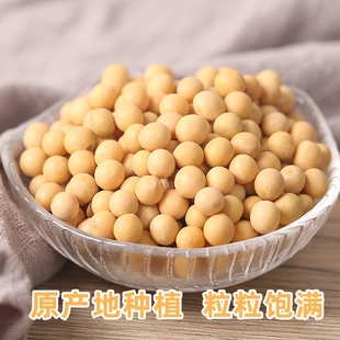 东北黑龙江精选非转基因黄豆打豆浆豆腐大豆豆芽高蛋白 80克