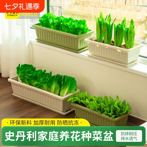 史丹利种菜盆加厚耐用防晒抗冻