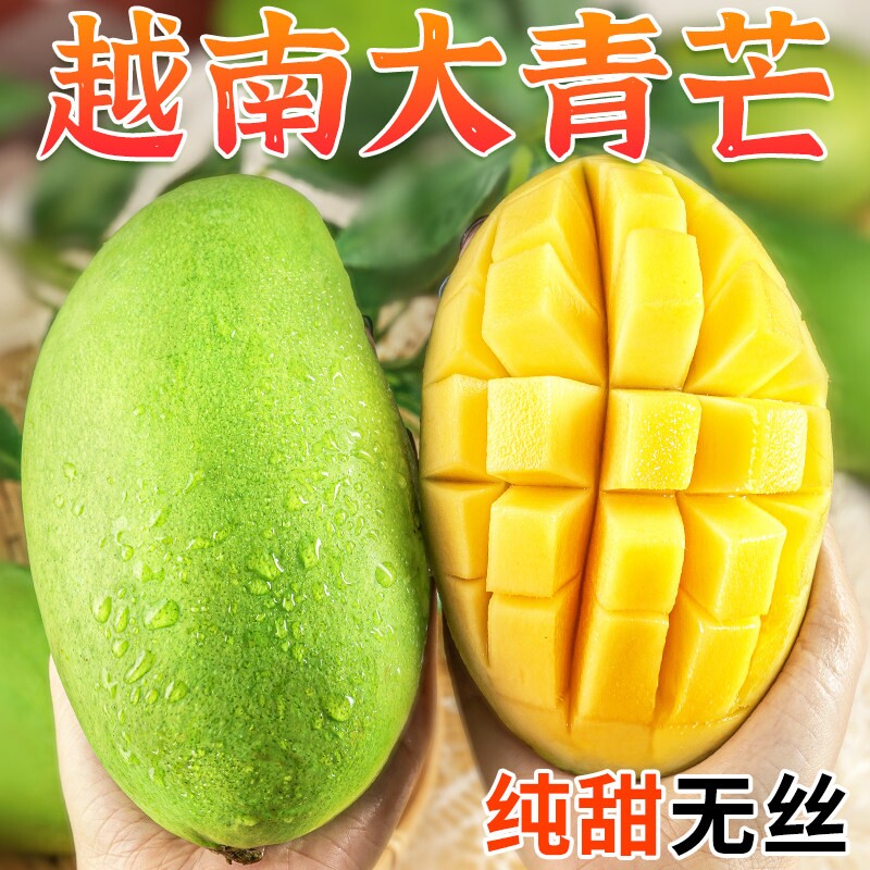 央视品牌顾一正宗越南精选大青芒净重4.5
