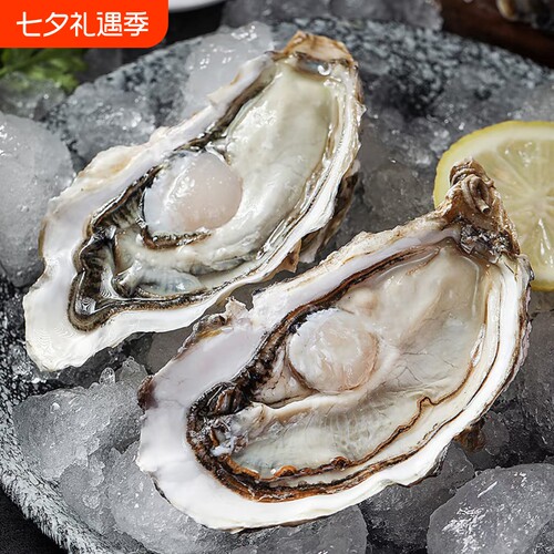 大连冷水生蚝5斤装非乳山肥美大号牡蛎新鲜海鲜顺丰包邮鲜活