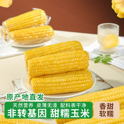 新鲜采摘粗粮黑土黄糯玉米香软糯