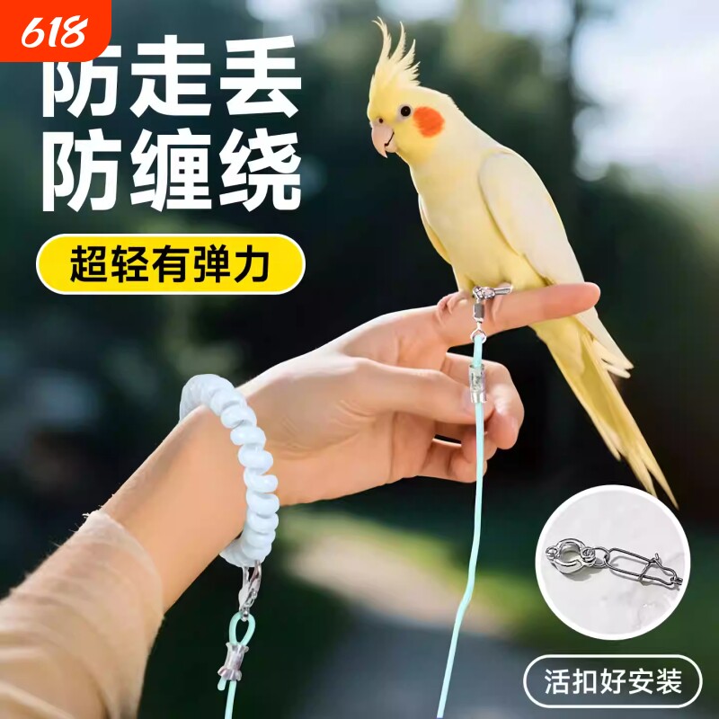 鹦鹉放飞绳超轻训练牵引绳外出遛鸟神器虎皮牡丹玄凤专用绳子八哥